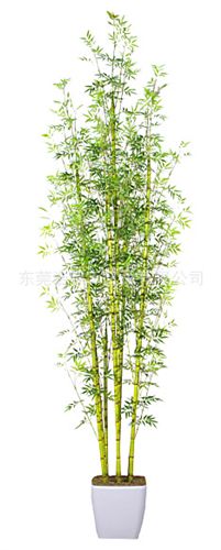 仿真竹子 厂家直销仿真韩国竹  室内外装饰假竹子  可定制尺寸