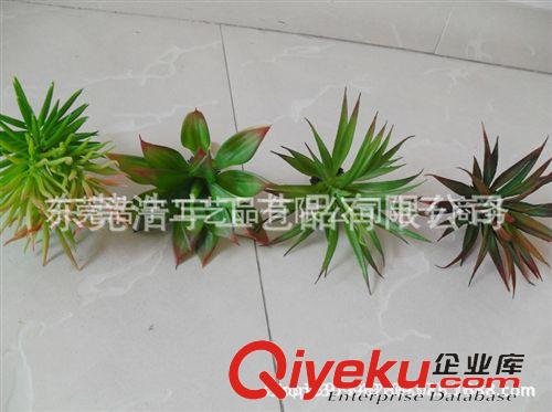 仿真多肉植物类/热带植物 不含盆单支卖  yz迷你小植物 毛利多销