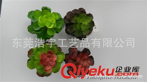 仿真多肉植物类/热带植物 gd 仿真多肉植物 大宝莲  塑料花