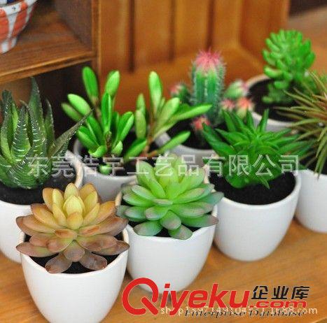 仿真多肉植物类/热带植物 仿真迷你植物盆栽 品种齐全 gd仿真塑料仿真多肉植物