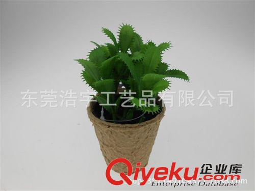 仿真小花草盆栽系列 yz仿真菠萝叶盆栽 欧美畅销栽 简单仿真植物 厂家直销