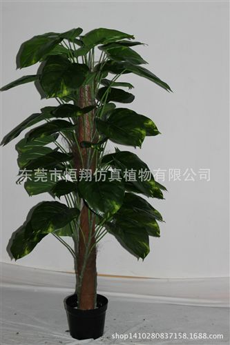 小树系列 仿真植物 仿真发财树 巴西铁 婚庆用品 各种高度仿真盆栽定做
