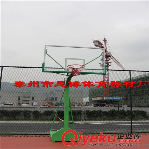 运动休闲／篮球用品 厂家tj 标准移动式/单臂/户外篮球架加大加厚型篮球架/篮球框