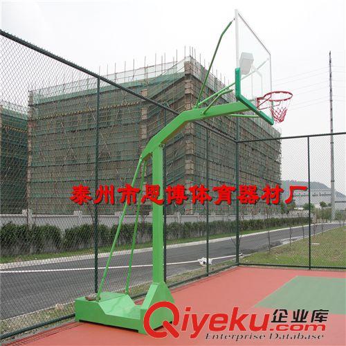 运动休闲／篮球用品 厂家tj 标准移动式/单臂/户外篮球架加大加厚型篮球架/篮球框