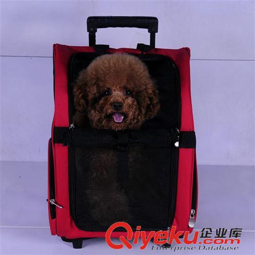 宠物包 批发销售 gd两用宠物用品 拉杆便捷宠物包 狗包包 可折叠猫咪包