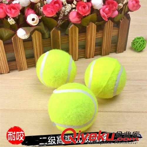 猫狗玩具--北京佩它 佩它CT00109二级网球（新价格体系）