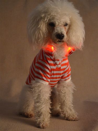 宠物医疗、保健用品 厂家直销条 LED发光纹衬衫狗衣服 宠物潮流时尚T桖现货供应