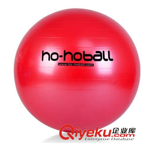 ~健身球、瑜珈球~ hellobaby 充气后55cm厘米瑜伽球 体操球 健身球 性球 800克