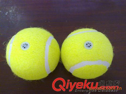 网球 供应网球··钥匙圈网球·宠物网球等