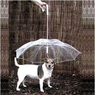 日用品 狗狗雨伞宠物雨伞 泰迪比熊小型犬小狗宠物雨衣雨披用品 带狗链子