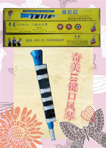 儿童用品 zp奇美13键口风琴 QM13A-1 蓝色款 盒装 送擦拭布 教材