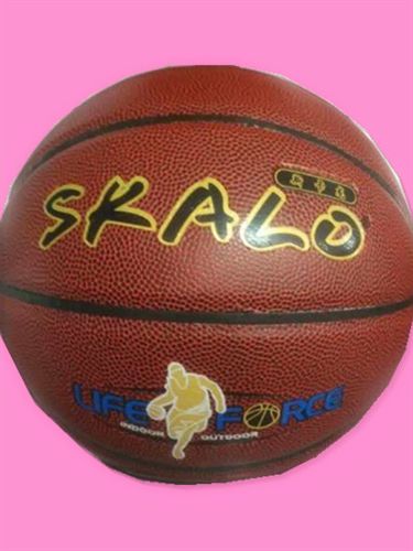 篮球系列 零售包邮热卖篮球斯卡龙吸湿耐打水泥地比赛专用球 高弹性 附赠品