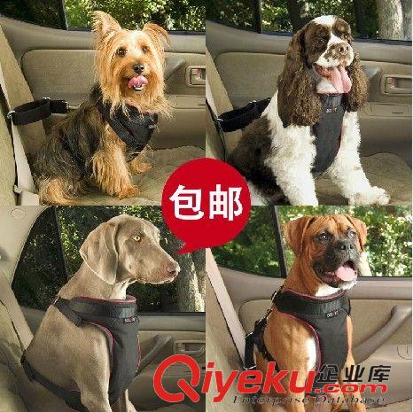 美国solvit系列 solvit宠物大中小型犬汽车安全带保险扣伸缩牵引绳多种规格包邮