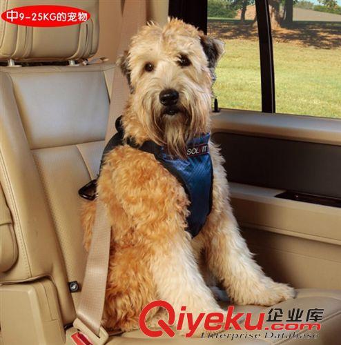 美国solvit系列 solvit宠物大中小型犬汽车安全带保险扣伸缩牵引绳多种规格包邮
