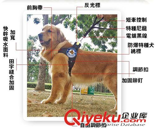 外出用品 chukchi中大型犬专用金毛萨摩耶大狗宠物牵引绳胸背带套装双牵