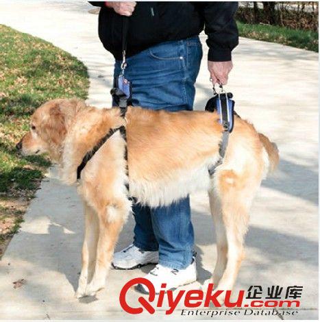 外出用品 solvit宠物老年犬髋关节后肢受伤狗狗特殊外出安全辅助牵引带包邮