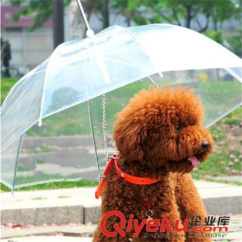 宠物日用品  宠物遛狗雨伞 泰迪比熊小狗宠物雨衣雨披用品小型犬用带狗链子