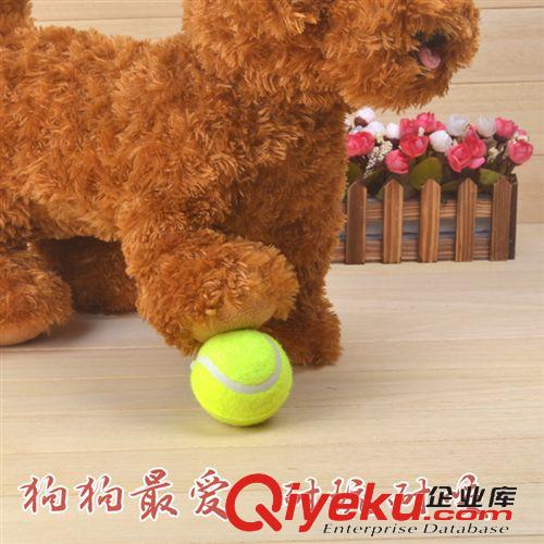 宠物玩具 热销宠物用品 宠物玩具二级网球 环保耐咬材质狗狗训练玩耍玩具球