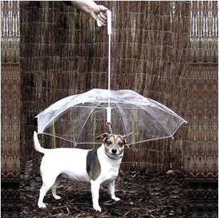 宠物日用品 狗狗雨伞宠物雨伞 泰迪比熊小型犬小狗宠物雨衣雨披用品 带狗链子