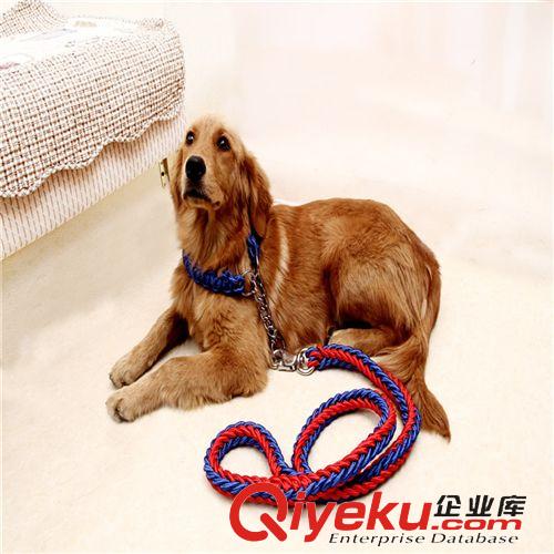 宠物牵引绳项圈 宠物用品 牵引带八股编织带项圈大型狗狗绳链子 S号 直径1.5cm