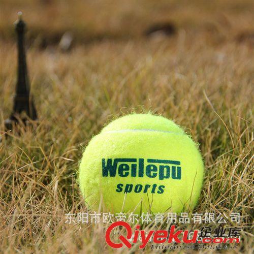 网球 单个带绳袋装一级训练用网球  2.5英寸网球