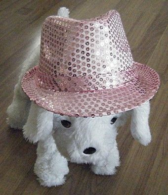 宠物服装系列 安芬宠物帽子2260 宠物用品研发生产出口批发代理代发