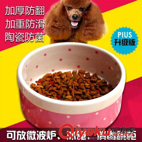 2015年3月新品 泰迪贵宾犬专用日常用品 狗碗猫碗宠物碗 吃盘盆碟陶瓷食饭喂水器