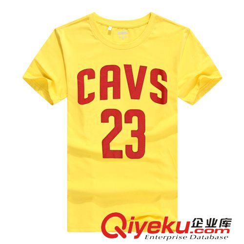 NBA球衣系列 勒布朗詹姆斯NBA球衣 纯棉短袖男T恤运动服外贸原单