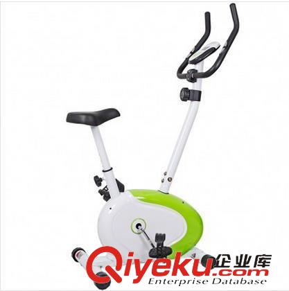 大型健身器材 商用动感单车 磁控家用静音 室内健身车 自行车健身器材