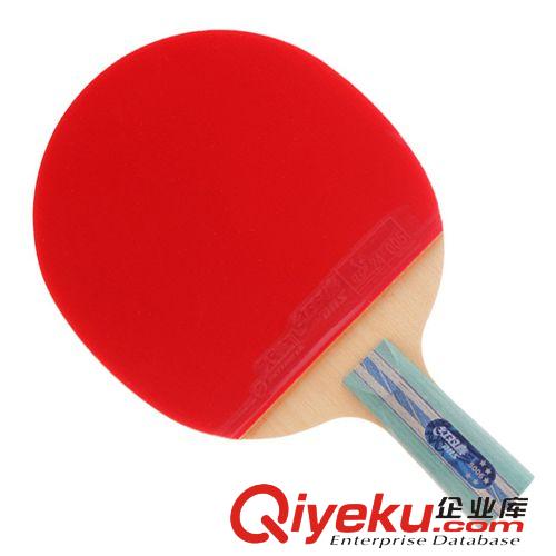乒乓球拍 zptj红双喜A5006五星级直拍双面反胶乒乓球拍