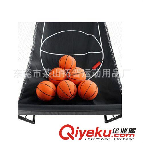 球架球网系列 生产供应 木板材质 gd大号双人休闲篮球架 电子投篮机结实耐用