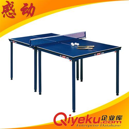 乒乓球台 长期批发 红双喜小型室内乒乓球台 T919家庭娱乐型乒乓球台