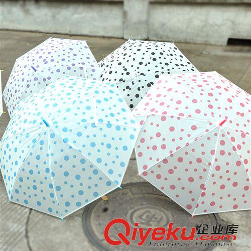 4月新品 彩色圆点雨伞 长柄磨砂点点遮阳伞 可爱少女文艺晴雨伞 批发230g