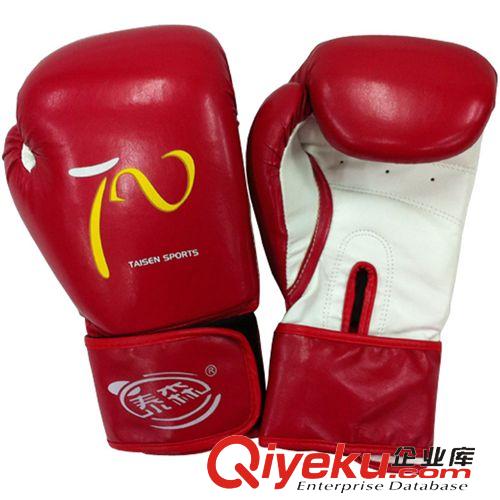 拳击用品（Boxing equipment) 工厂直销 批发TS-2212 泰森拳击手套 散打 拳击手套 专业散ds套