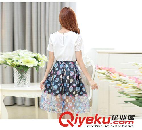 六月上新 一期 韩版欧根纱两件套装裙蓬蓬裙刺绣印花修身短袖雪纺套装 女