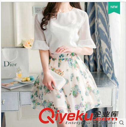 休闲套装 2015春装新款女装韩版两件套印花雪纺连衣裙 半裙加上衣一件代发