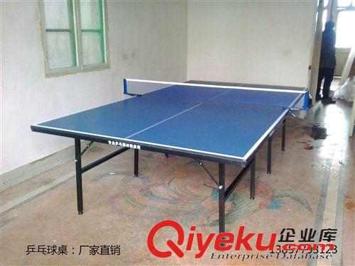 乒乓球台系列 温州乒乓球台哪里有专业生产制造厂家找温州健牌体育