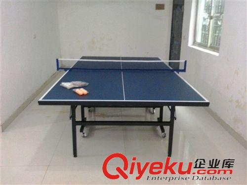 乒乓球台系列 温州哪里有专业乒乓球桌制造生产厂家找温州健牌体育