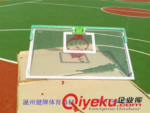 篮球板、篮球圈系列 篮球架 篮球板更换找温州健牌篮球架厂