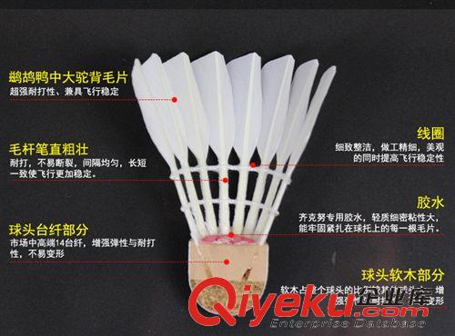 羽毛球 zp齐克努4号羽毛球 互联网畅销品牌 安徽羽毛球代工厂 可代发