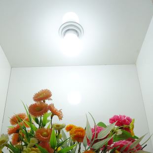 LED球泡 厂家直销 塑包铝 LED球泡灯 5W 7W 9W 室内灯 水平面发光