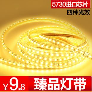 本周新品 LED灯带 LED灯条硬灯带软灯条 5730高压高亮防水灯带