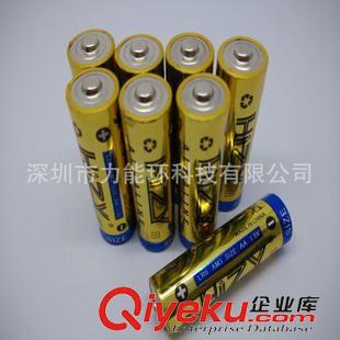 测量工具专用电池 现货供应5号碱性干电池 计算机闹钟专用AA高容电池 一盒60节