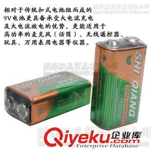 热销产品 玩具批发家用电池9V（伏）干电池家电用干电池特技车遥控器用电池