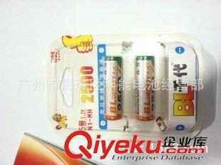 BL千代电池充电器 【厂家供应】千代充电池 5号充电池 2500mAh 麦克风电池 话筒电池