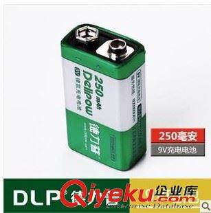 9V电池 6F22电池 6LR61电池 【厂家直销】德力普9V充电250容量 6F22玩具电池 {wn}表专用电池