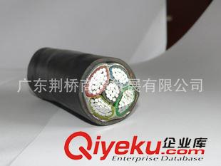 铝芯电力电缆 现货供应铠装铝芯电缆 YJLV22铝芯电缆3*70+2*25 品质保证