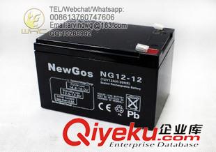 12V12AH Newgos  12V12AH免维护太阳能电池 铅酸电池 UPS电池