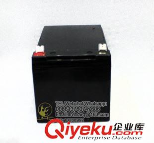 12V12AH Newgos  12V12AH免维护太阳能电池 铅酸电池 UPS电池