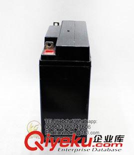 12V17AH Newgos  12V17AH免维护太阳能电池 铅酸电池 UPS电池